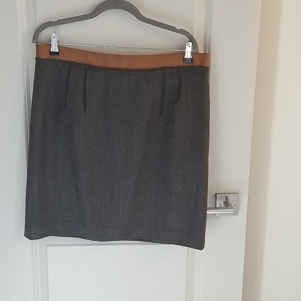 Ann Taylor Loft skirt